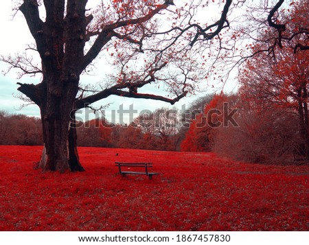 relaxing corner in red enchanted