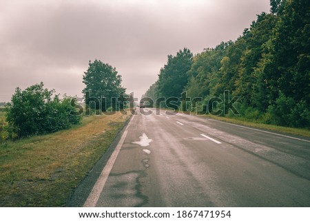 Country road with light fog after a rain