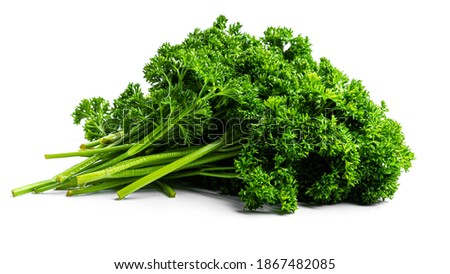 Greenery. Sprigs of curled parsley on a white background. Macro photo. High quality photo Royalty-Free Stock Photo #1867482085