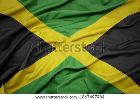 waving colorful national flag of jamaica. macro shot