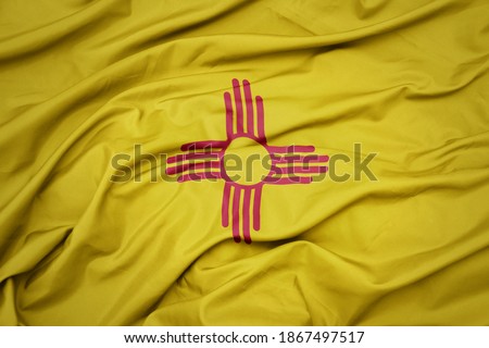 waving colorful flag of new mexico state. macro shot
