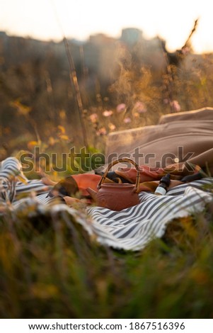 Traditional Japanese teapot on boho picnic blanket in park. Sunset golden picture of evening summer snacks in grass. Relaxing, hygge, calming concept. Picnic in nature. Golden hour nature color.