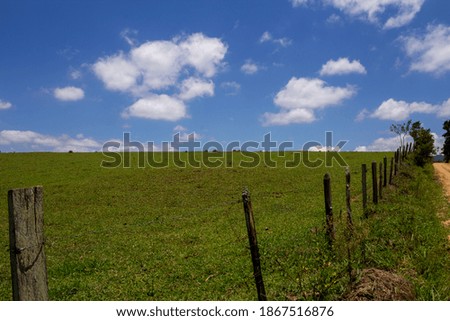 Fence on a green grass and a blue sky with clouds