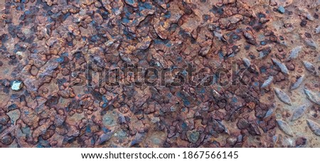 Rough iron surface area is rust.
