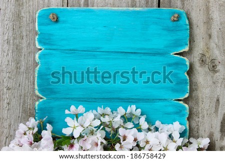 Blank wood sign with white spring flowers border hanging on antique rustic wooden background; teal blue copy space