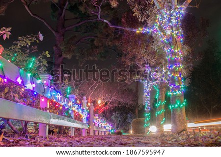 Christmas Lights in San Jose at Night