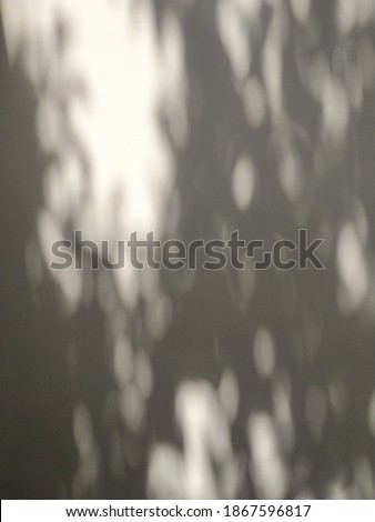 Shadow on the  white wall