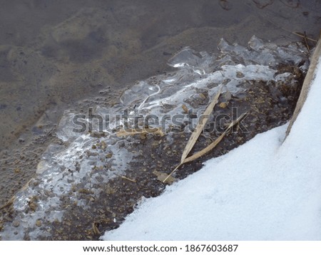 Ice bubbles along edge of stream