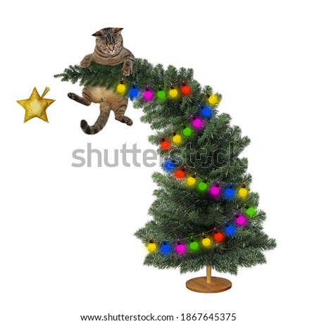 A beige cat is on the top of the Christmas tree. White background. Isolated.