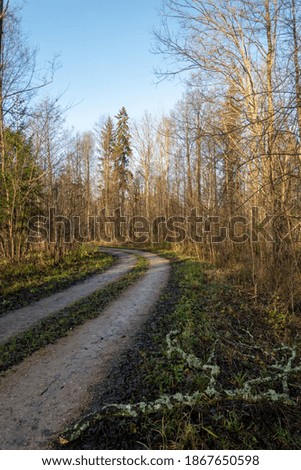 Narrow curve road in countryside.
