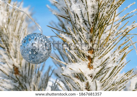 Winter background. Silver balls garlands on the fir.