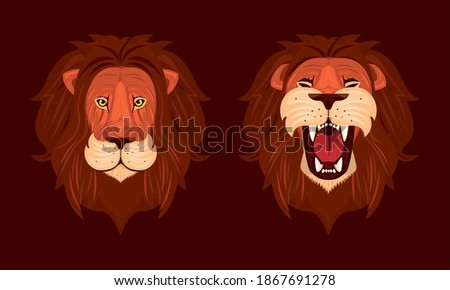 heads of lions kings front colorful icons vector illustration design