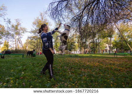 A young woman enjoys companionship with her beloved pet, a pit bull, in a city park. Selective focus with blurred background. Shallow depth of field.