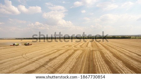 Summer harvesting wheat field. 
Beautiful view from a quadcopter