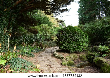 Beautiful garden, green pah landscape