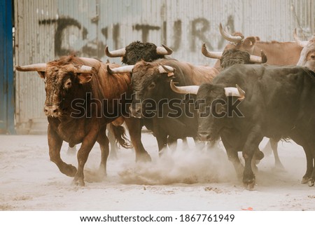 Running of the bulls in the streets of Spain Royalty-Free Stock Photo #1867761949