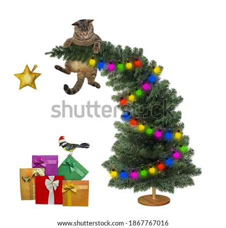 A beige cat is on the top of the Christmas tree near gift boxes. White background. Isolated.