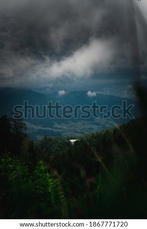 Road in mystic forest in tyrol