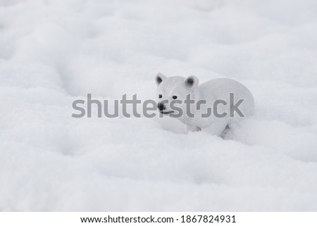 little polar bear walking in the snow
