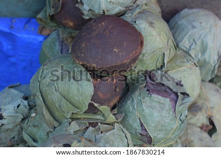 
Brown sugar made from palm water wrapped in teak tree leaves