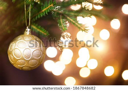 Golden Christmas ball on a live branch of a fir tree with Golden lights of garlands in defocus. New year, Christmas, holiday background, bokeh, copy space