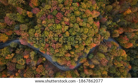 The road that passes through the middle of the forest, in various autumn colors. Aerial photo