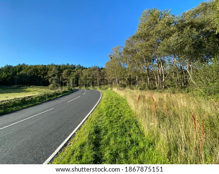 View along, Farnley Lane, with wild grasses, trees, and a vivid blue sky in, Norwood, Harrogate, UK