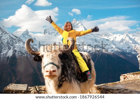 Young girl take photo on the yak on the mounysin against the backdrop of mountain peaks with snow. Photo on or with animal for money. Exploitation of animal labor concept.