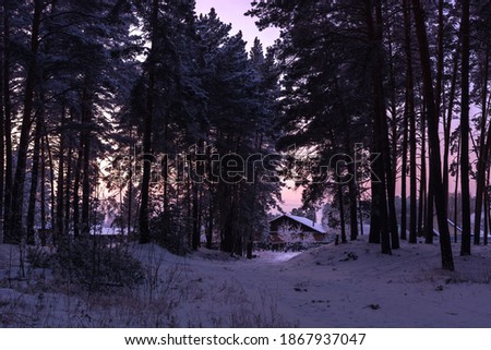 Winter rural road in a pine forest leading to a village house with trees in frost at sunset in Russia, Siberia. Siberian landscape. Nature of Russia
