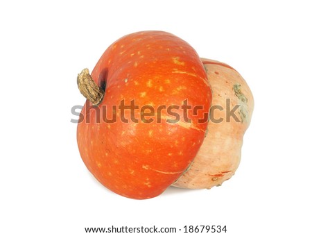 Acorn-pumpkin