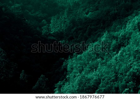 Trees landscape in a pine forest with different heights and in which the mountains form a valley illuminated by sunlight.  Contrast between light and shadow. Natural green trees background. Green Word Royalty-Free Stock Photo #1867976677