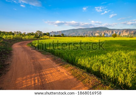 Rice field along the dirt road with limestone mountain, travel scenic at Noen Maprang district, Phitsanulok, Thailand