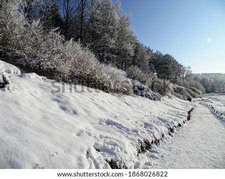 winter park. Relief landscape. Beautiful winter landscape. Trees in the snow. Everything is in the snow.