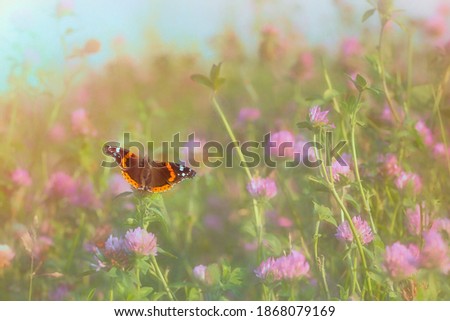 Orange Black Stripe small butterfly pink flowers blurred background green fields blue sky