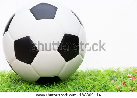 basicc soccer ball isolated on white background