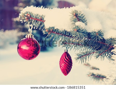 Red Christmas balls on a snow-covered tree branch 