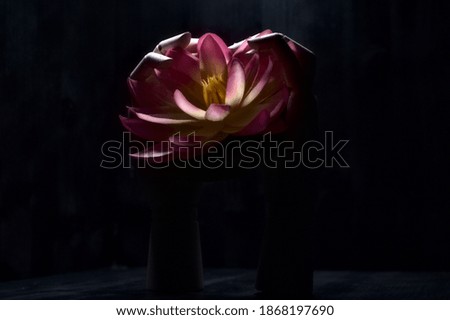 Two wooden hands that hold a fake lotus flower