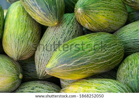 Fresh raw ripe juicy sweet melons sold on outdoor market. Farm seasonal spanish fruits and vegetables stock