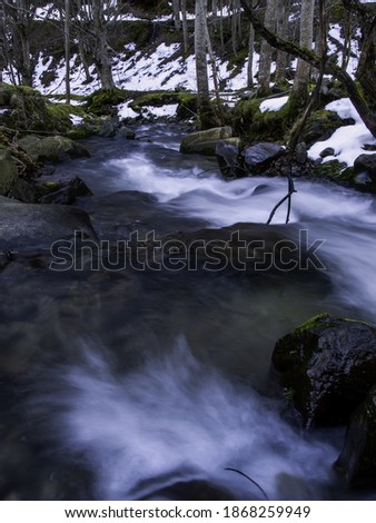 River in forest with snow, nature reserve, winter landscape