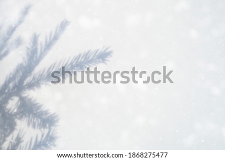 blurred photo of a shadow from a christmas tree branch on a white gray background of a wall or table. falling snow