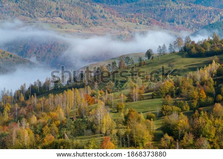 Colorful forests on the slopes of the aries valley, the apuseni mountains-Romania Royalty-Free Stock Photo #1868373880