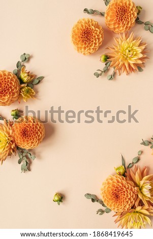 Frame made of beautiful ginger dahlia flower buds on peachy pastel background. Blank copy space mockup template.