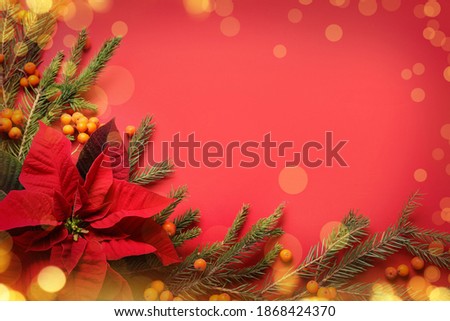 Flat lay composition with traditional Christmas poinsettia flower and space for text on red background, bokeh effect 