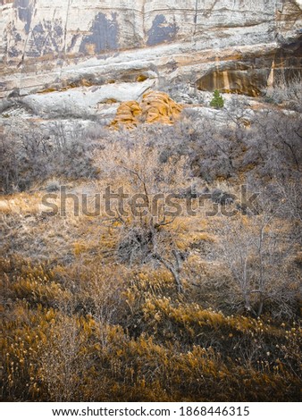 Late autumn afternoon along the trail to Calf Creek Falls, northern Grand Staircase Escalante, south central Utah Royalty-Free Stock Photo #1868446315
