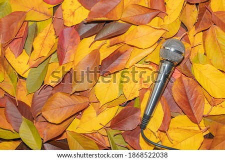 microphone on yellow autumn leaves close up as background Royalty-Free Stock Photo #1868522038