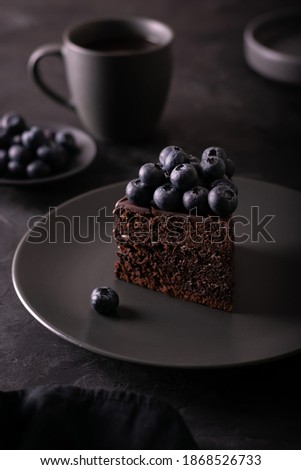 A piece of chocolate cake Prague with blueberry, low key, dark mood
