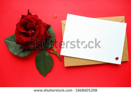 mockup greeting card. red rose and space for text
