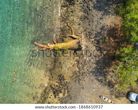
Aerial view of a fallen baobab ( imbondeiro) tree in the Blue Lagoon  in São Tome with 3 lady swimming in Lagoon,São Tomé e Principe,Africa