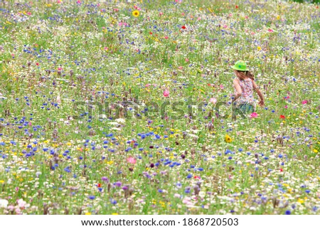 A wide shot of a young girl wearing a hat from backside running in a wildflower field.