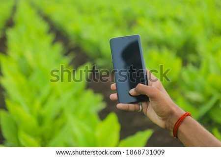 Young man Holding smartphone in hand and taking photo at banana field